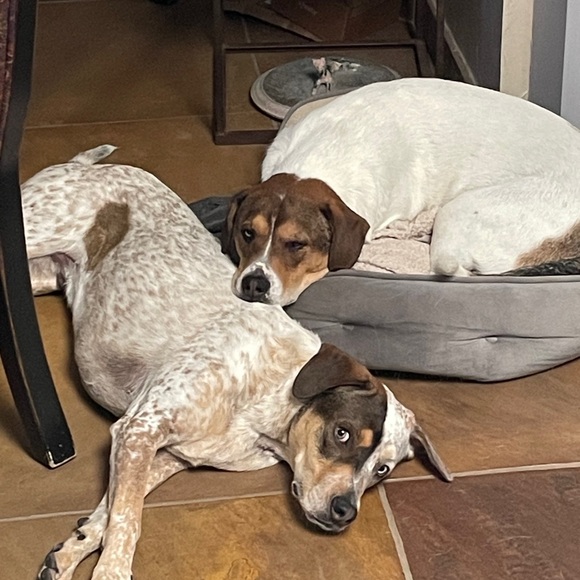 🪢 RACH IS GOING LIVE!! ITS A SHARE SHOW YA’LL!! 🫶🏼🪢🫶🏼 LET’S MAKE SALES!! - Picture 16 of 16